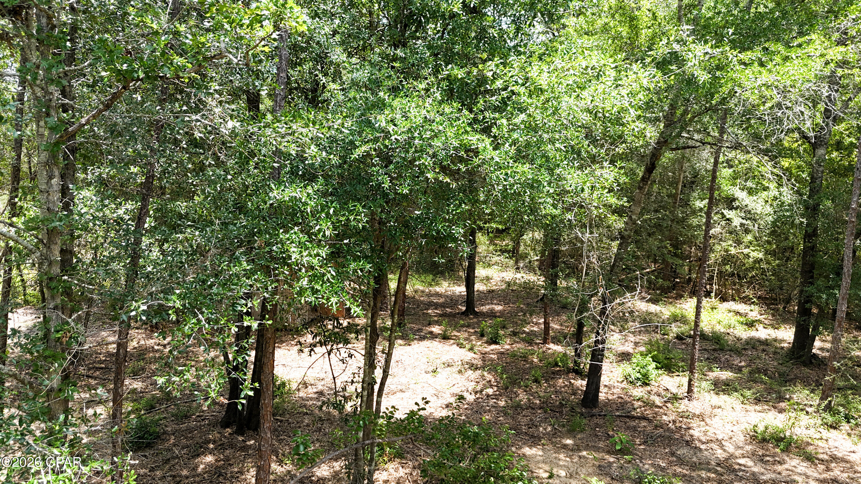 2nd image of 20429 Fettinger Rd, Fountain, FL 32438 | MLS# 772817