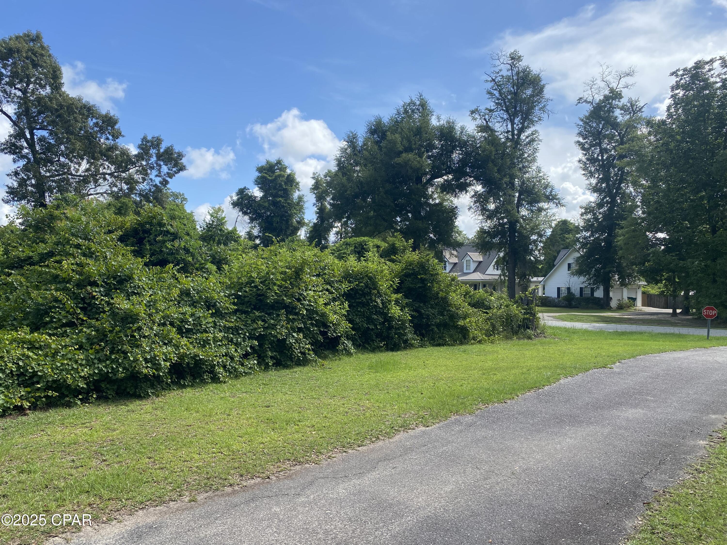 0000 Magnolia Blossom Lane 2, Marianna, FL 32446