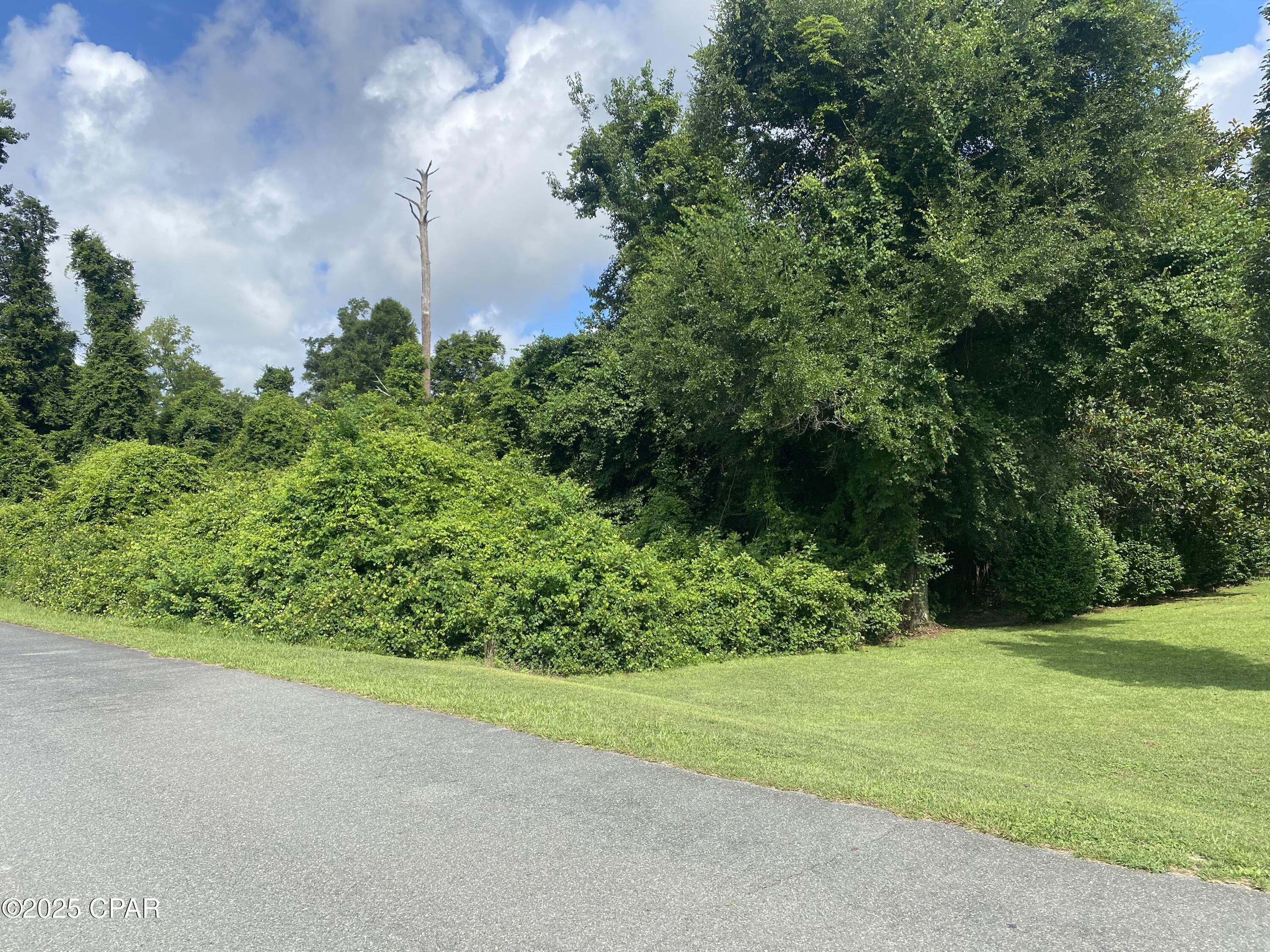 Homes for sale in Marianna, FL | 0000 Magnolia Blossom Ln #16, Marianna, FL 32446 | MLS# 775005