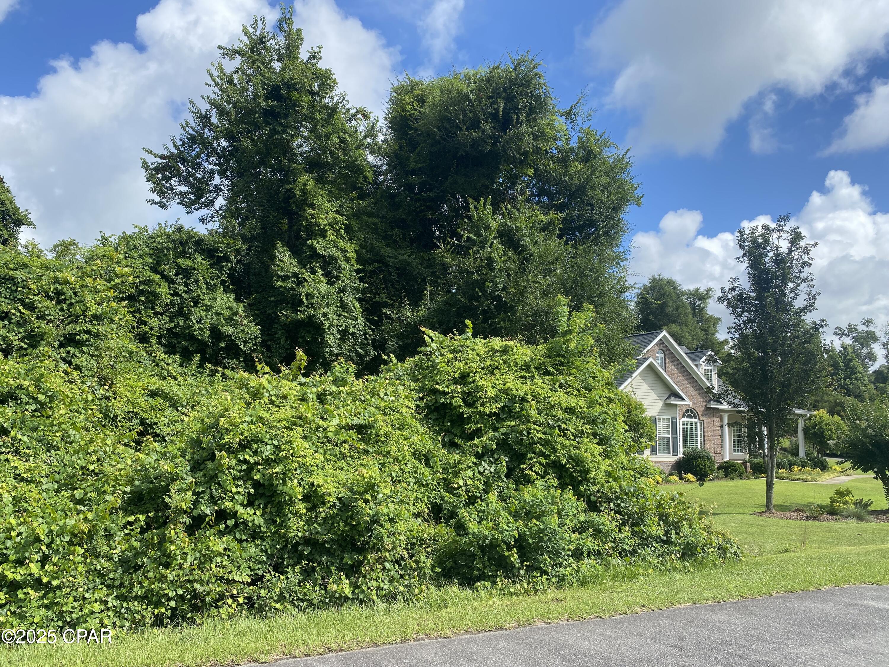 Homes for sale in Marianna, FL | 0000 Magnolia Blossom Ln #16, Marianna, FL 32446 | MLS# 775005