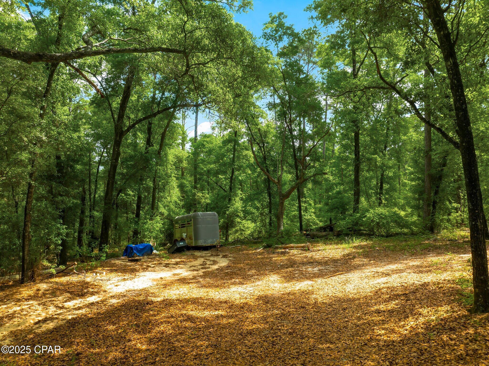 3rd image of 00 Corgi Ln, Chipley, FL 32428 | MLS# 772533