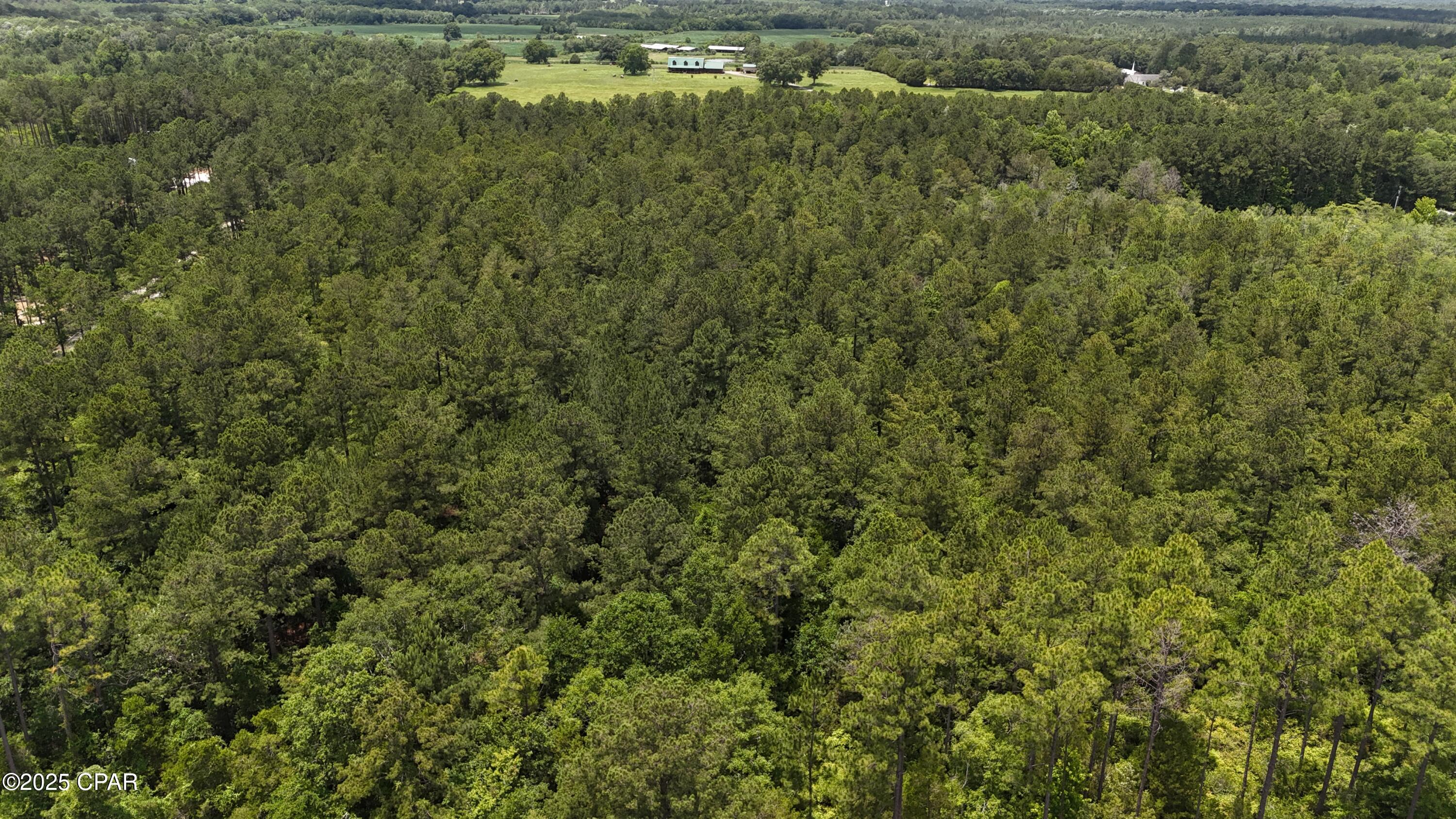 5th image of 00 N Hwy 79 North, Bonifay, FL 32425 | MLS# 774411