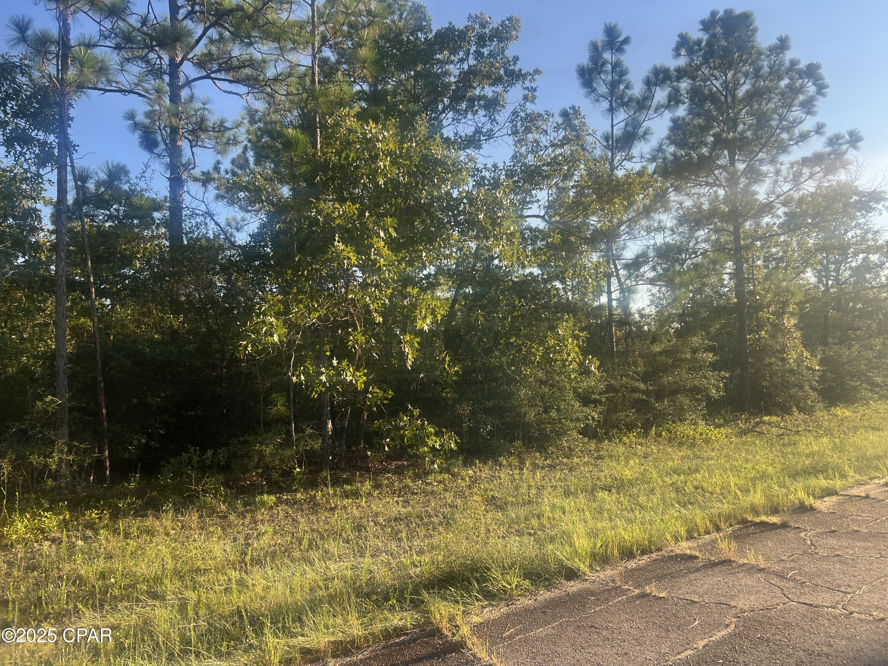 1st image of 0000 Kelvin St, Chipley, FL 32428 | MLS# 777753
