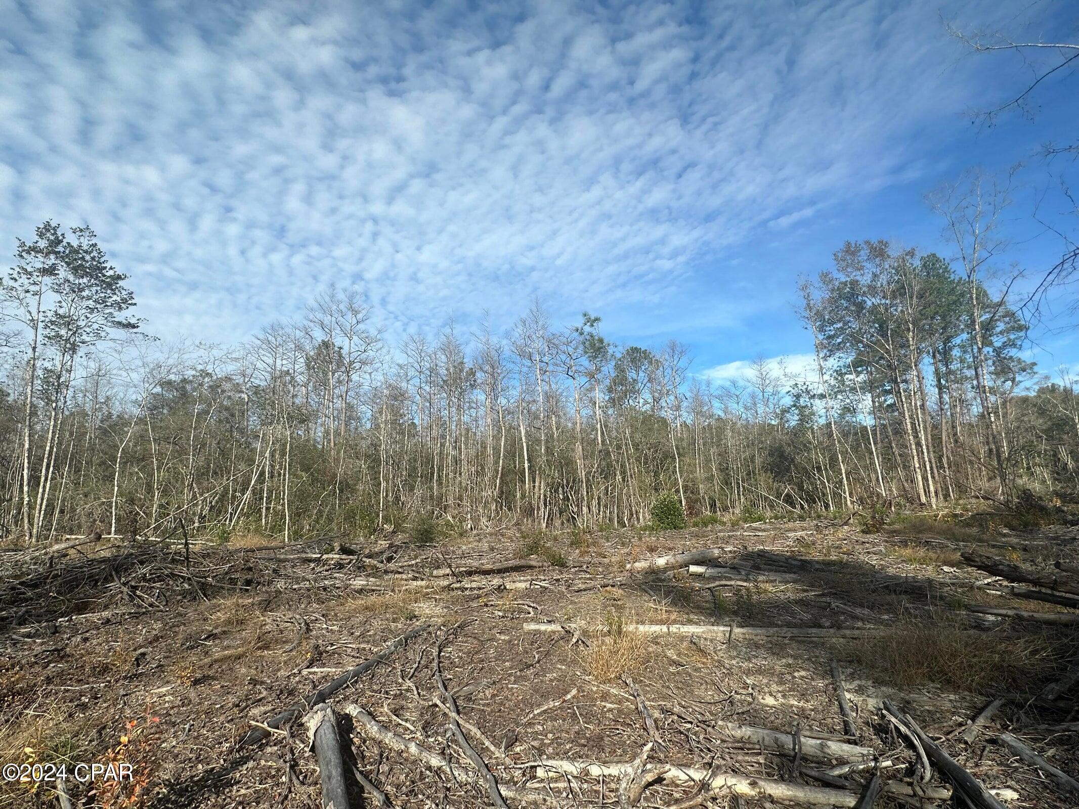1st image of Tract 6331 Sellers Rd, Bonifay, FL 32425 | MLS# 777842