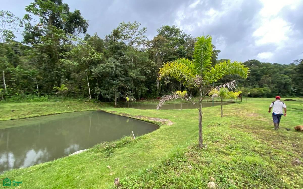 1 bed Land For Sale in Perez Zeledon, San Jose - 1