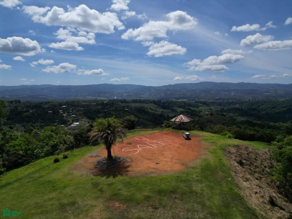0 bed Land For Sale in Perez Zeledon, San Jose - 1