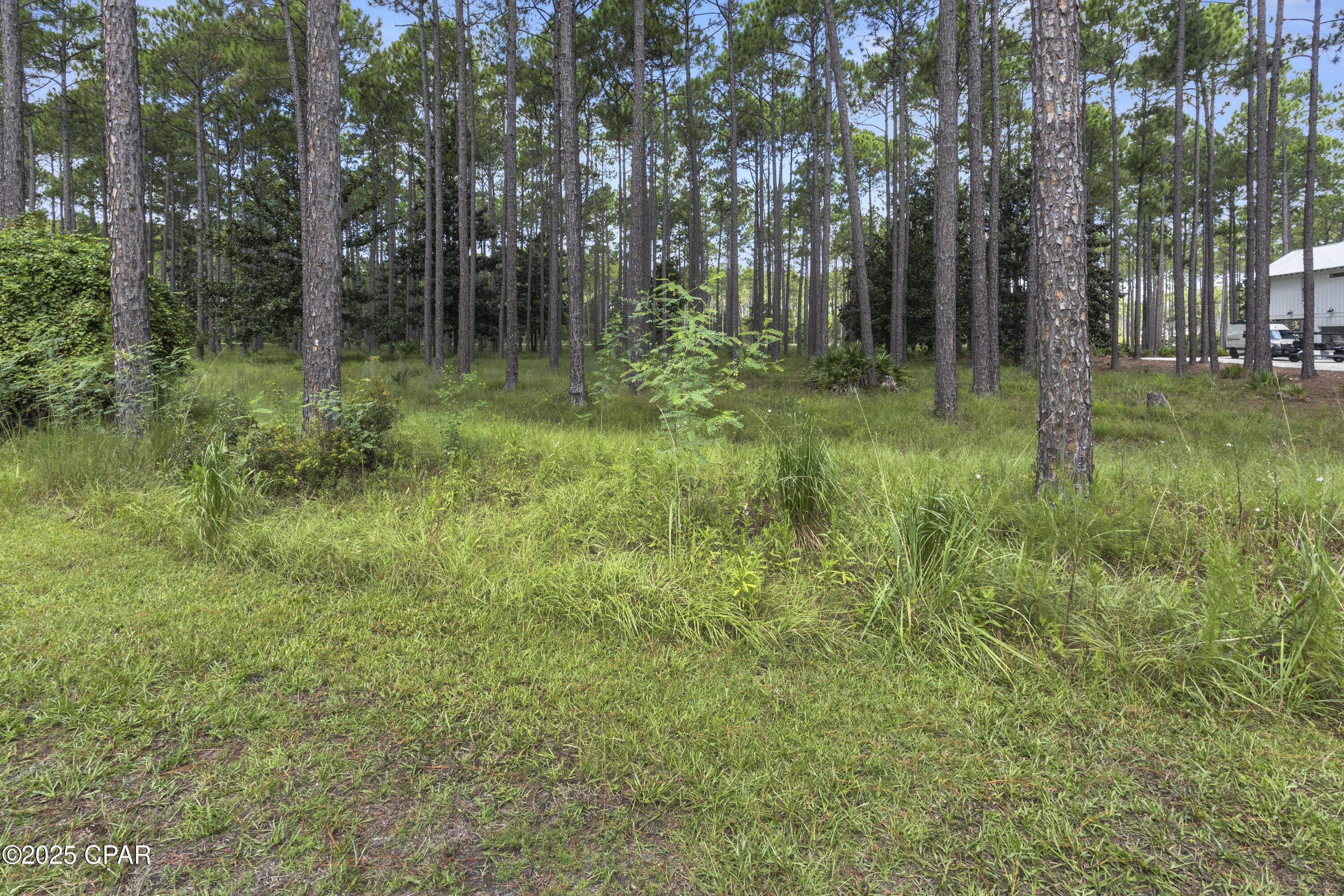 Image 7 For 6325 Turkey Cove Lane