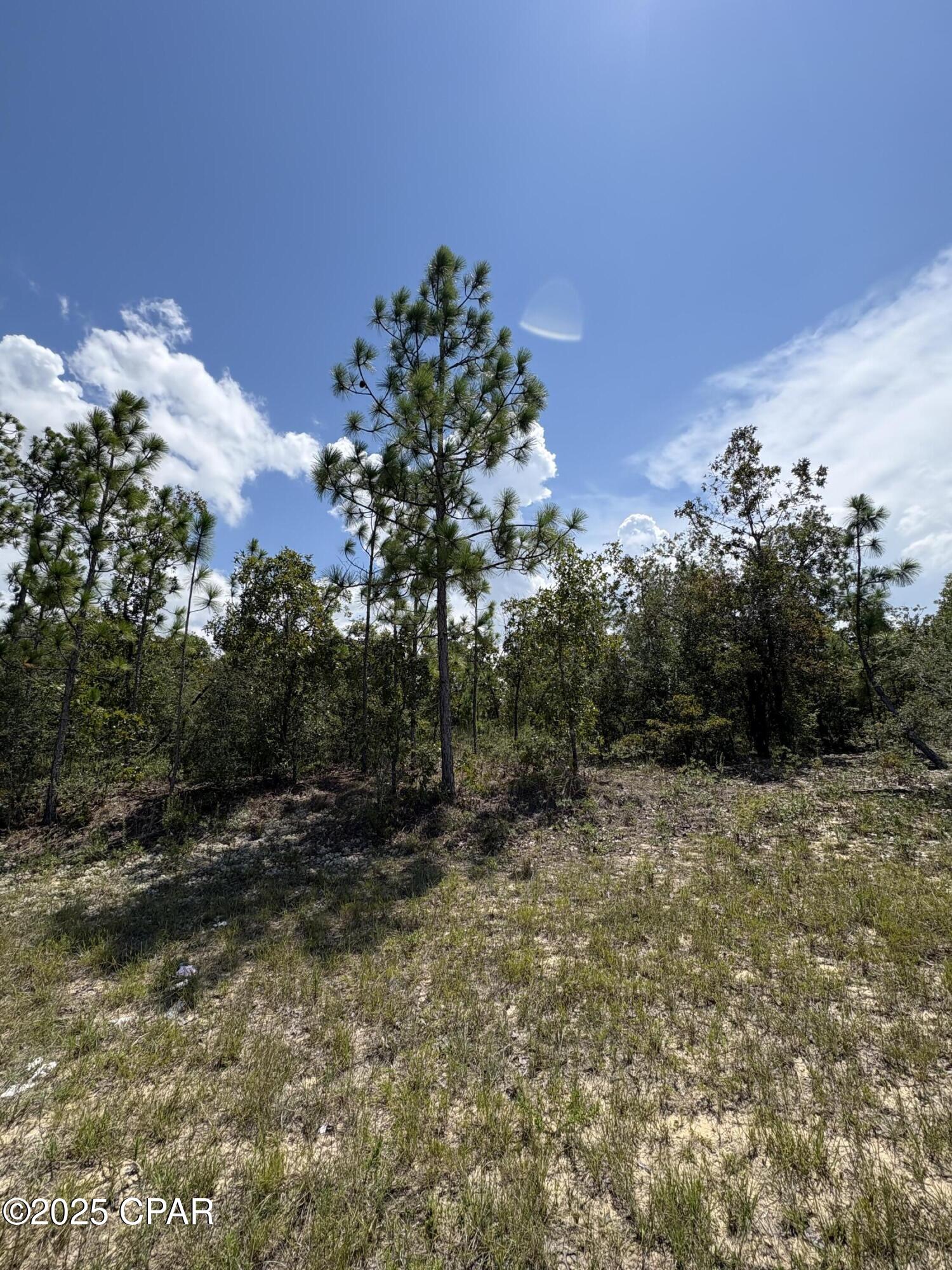 Photo 2 of Land for sale at Lot 15 Trellis Dr, Chipley, FL 32428 | MLS# 777892 | Listing updated on 2026-10-15
