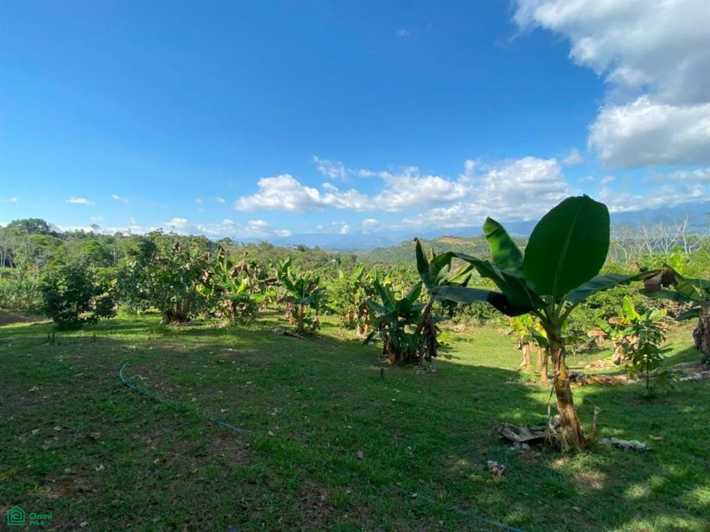 0 bed Land For Sale in Perez Zeledon, San Jose - 1