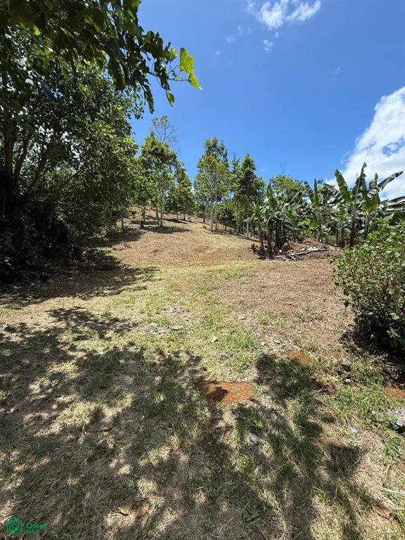 0 bed Land For Sale in Turrialba, Cartago - 1