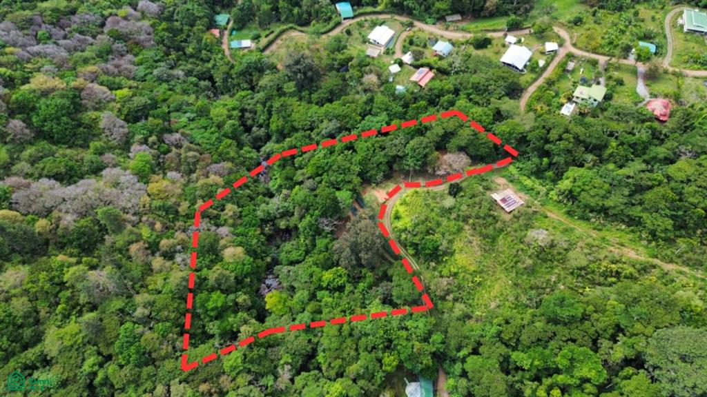 0 bed Land For Sale in Perez Zeledon, San Jose - 1