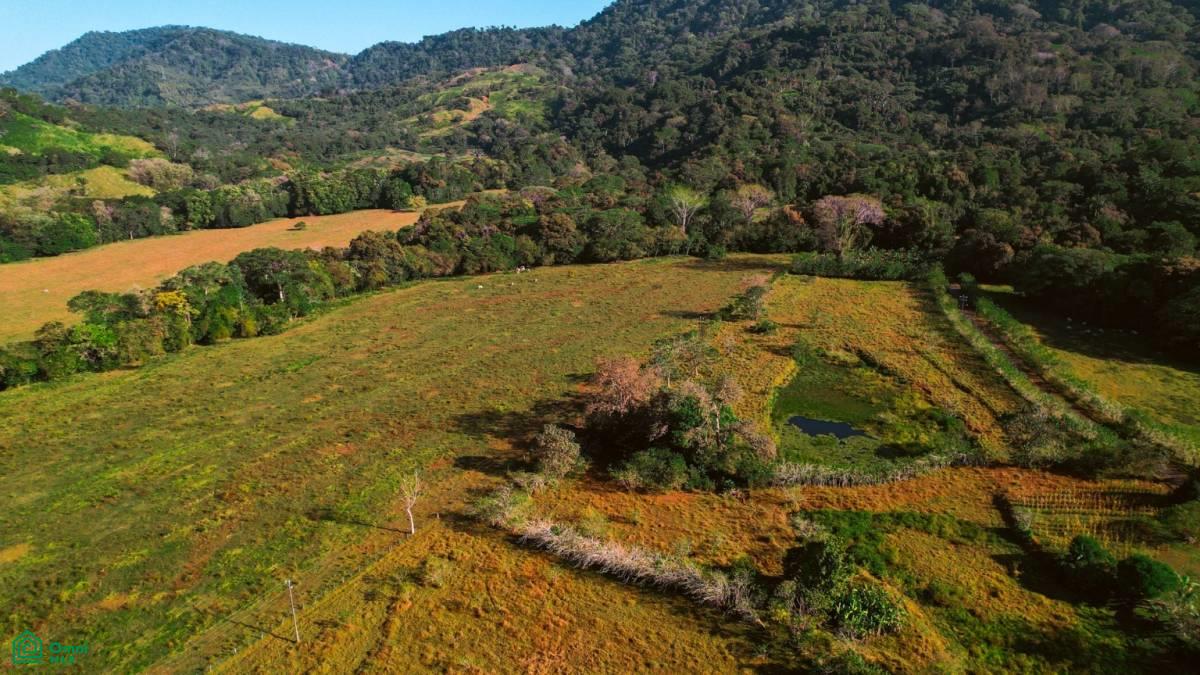 0 bed Land For Sale in , Puntarenas - 1
