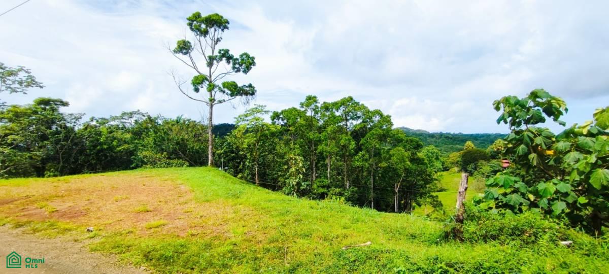0 bed Land For Sale in Garabito, Puntarenas - 1
