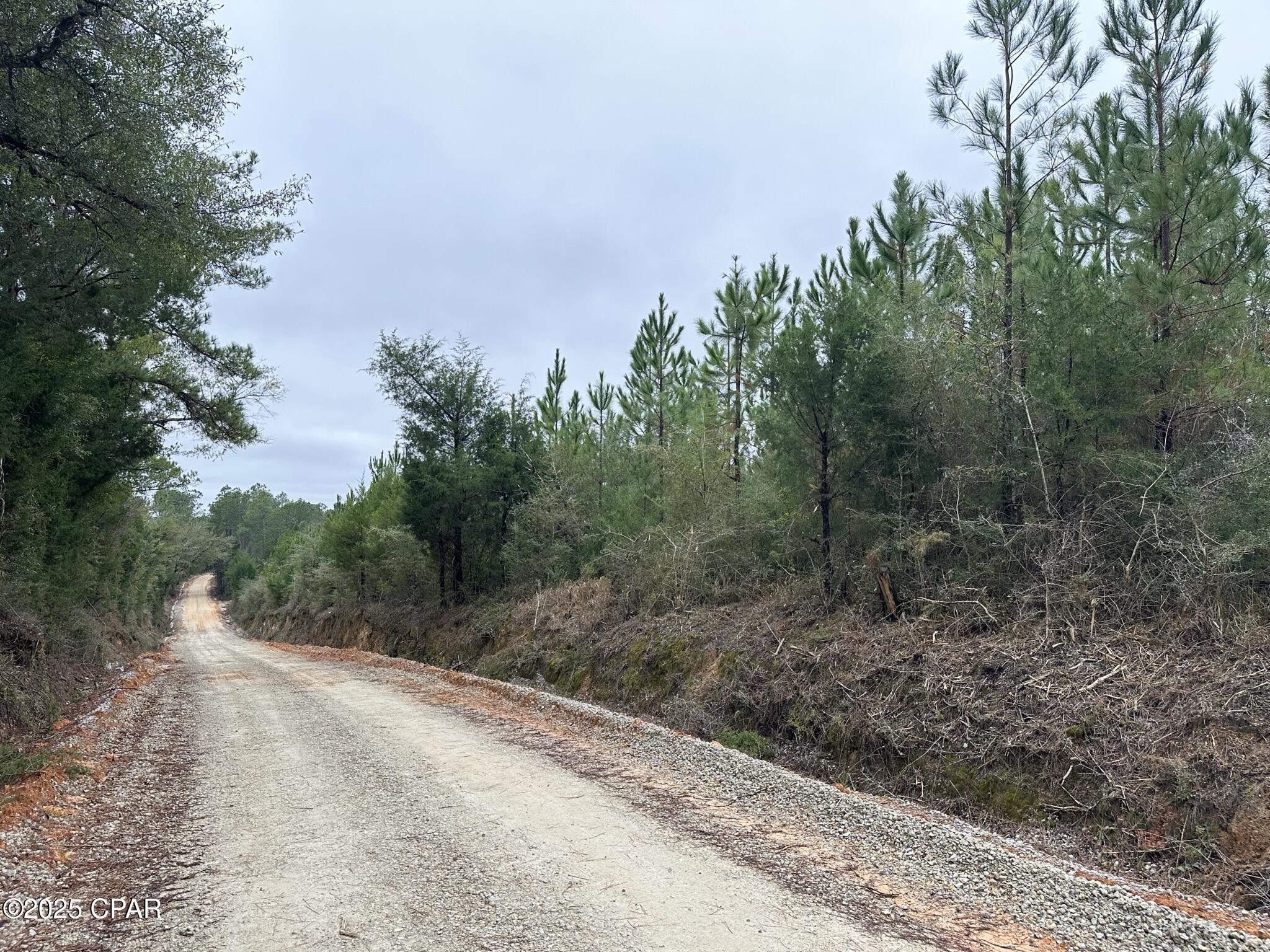 3rd image of Tract#6418 Bryant Bay Rd, Caryville, FL 32427 | MLS# 778033