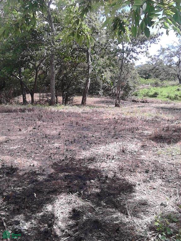 0 bed Land For Sale in Santa Cruz, Guanacaste - 1