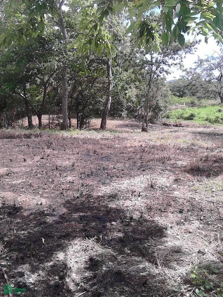 0 bed Land For Sale in Santa Cruz, Guanacaste - 1