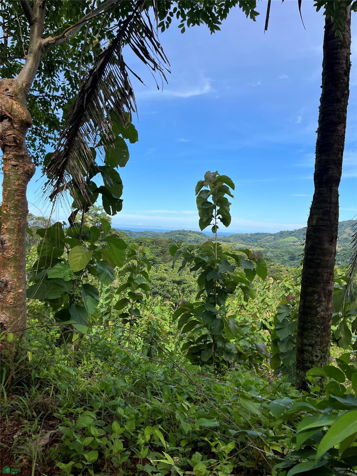0 bed Land For Sale in Nicoya, Guanacaste - 1