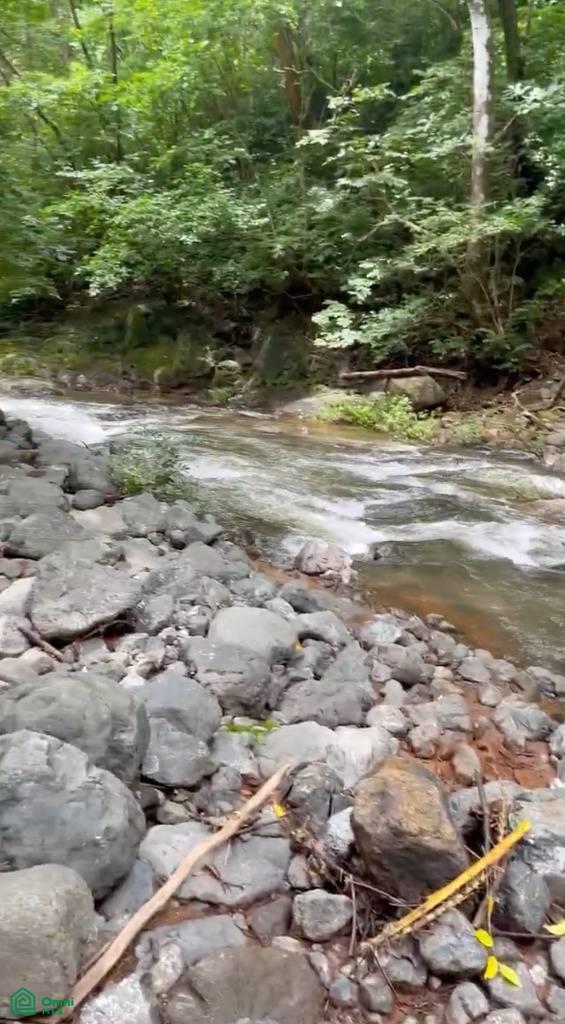 0 bed Land For Sale in Nicoya, Guanacaste - 1