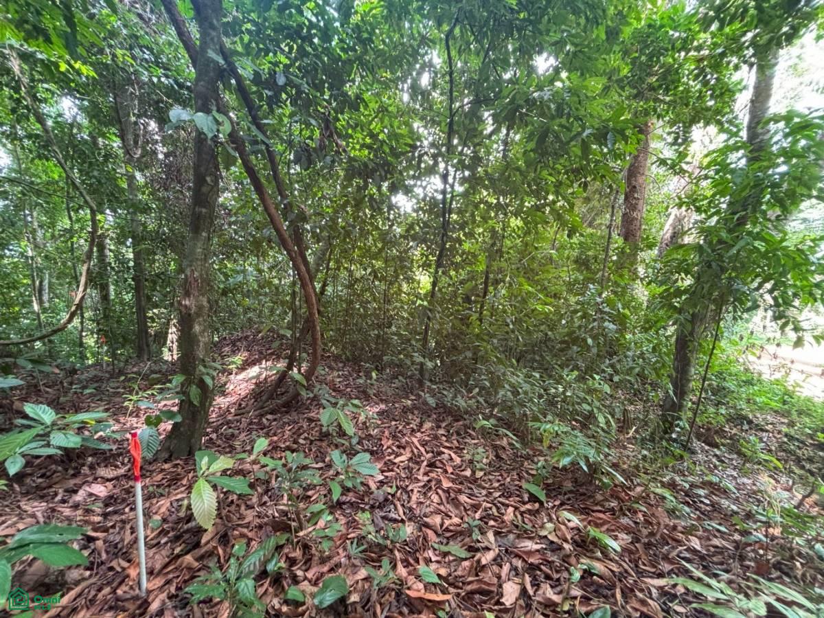 0 bed Land For Sale in Perez Zeledon, San Jose - 1