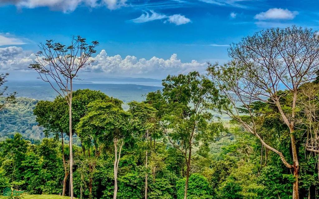 0 bed Land For Sale in , Puntarenas - 1