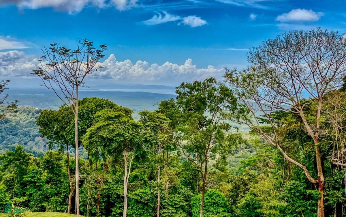 0 bed Land For Sale in Osa, Puntarenas - 1