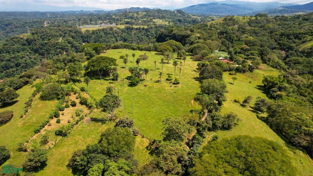 0 bed Land For Sale in Mora, San Jose - 1