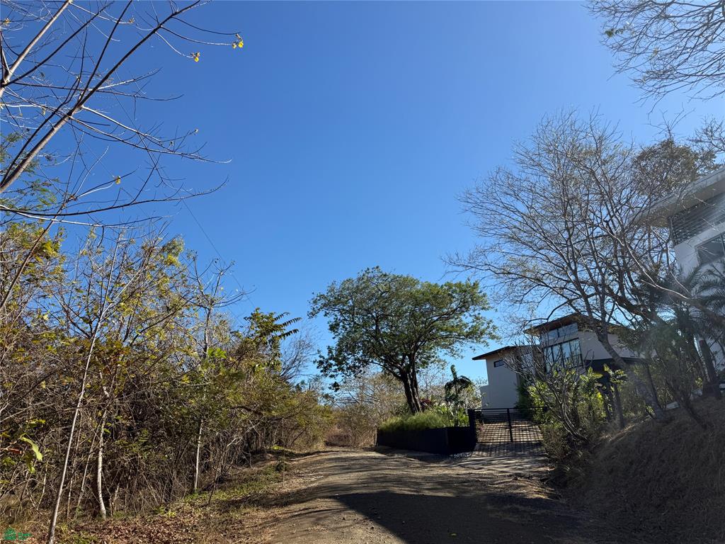 0 bed Land For Sale in Santa Cruz, Guanacaste - 1