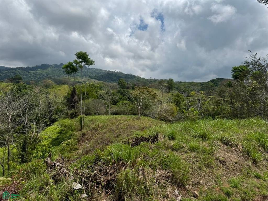 0 bed Land For Sale in Osa, Puntarenas - 1