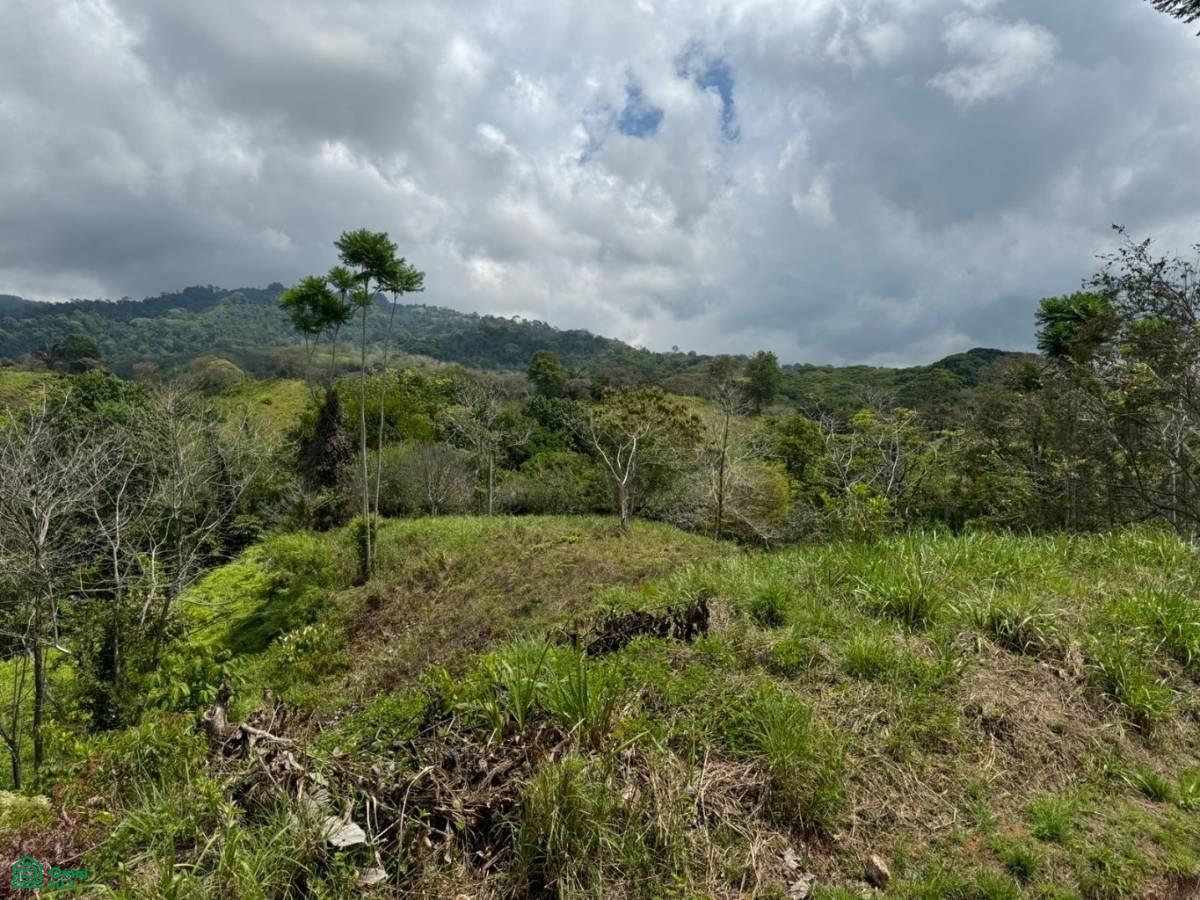 0 bed Land For Sale in Osa, Puntarenas - 1