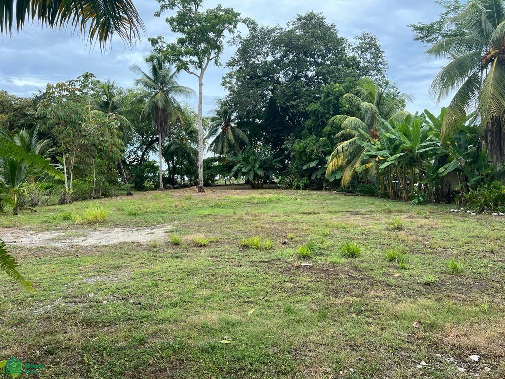 0 bed Land For Sale in Osa, Puntarenas - 1