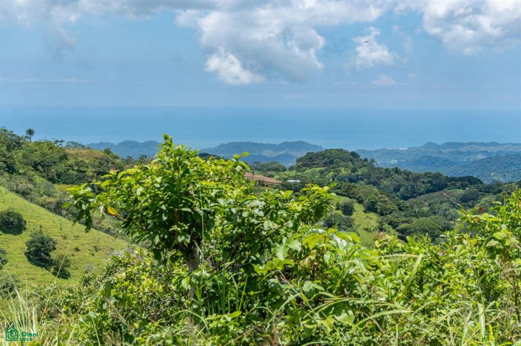 2 bed Single Family Homes For Sale in Belen De Nosarita, Guanacaste - 1