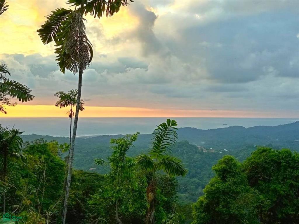 0 bed Land For Sale in Osa, Puntarenas - 1