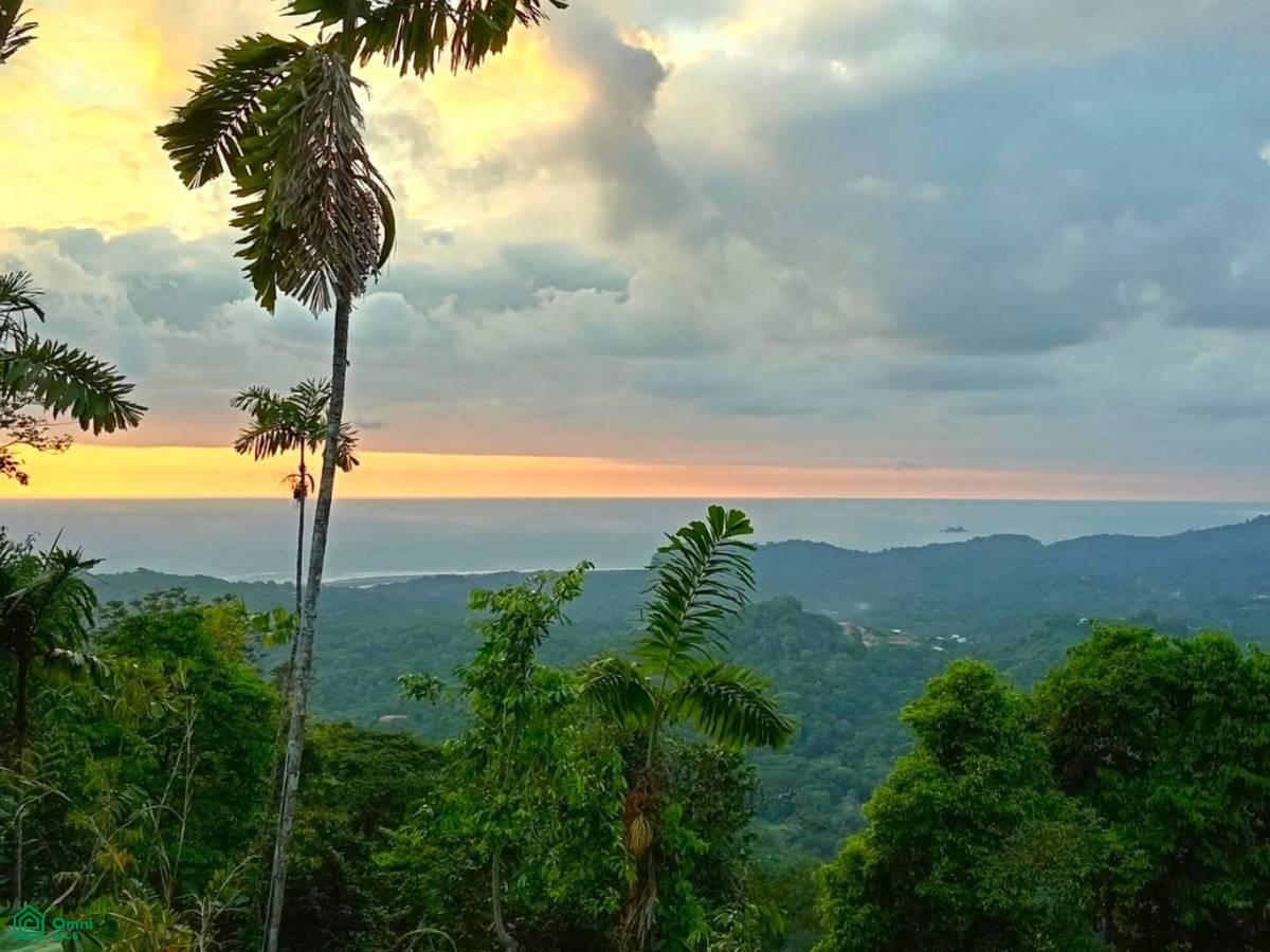 0 bed Land For Sale in Osa, Puntarenas - 1