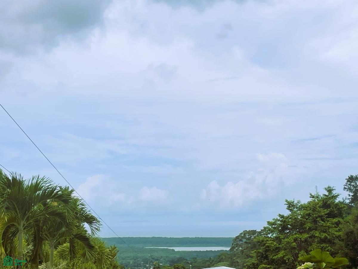 0 bed Land For Sale in Osa, Puntarenas - 1