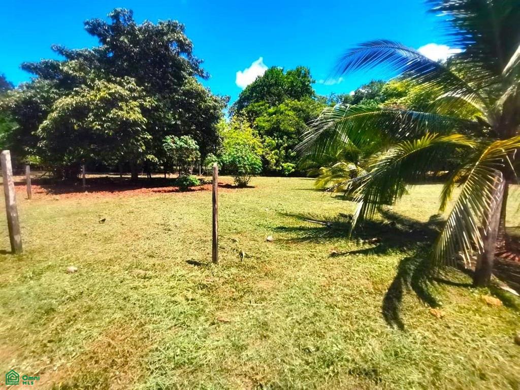 0 bed Land For Sale in Osa, Puntarenas - 1