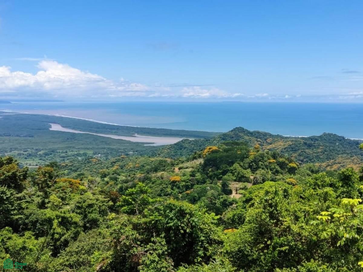 0 bed Land For Sale in Osa, Puntarenas - 1