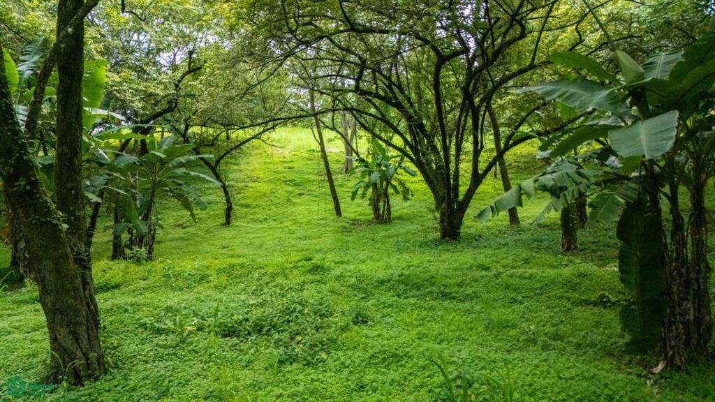 0 bed Land For Sale in Santa Cruz, Guanacaste - 1