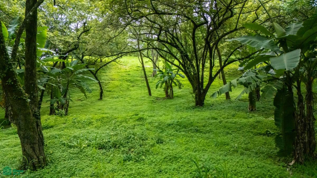0 bed Land For Sale in Santa Cruz, Guanacaste - 1