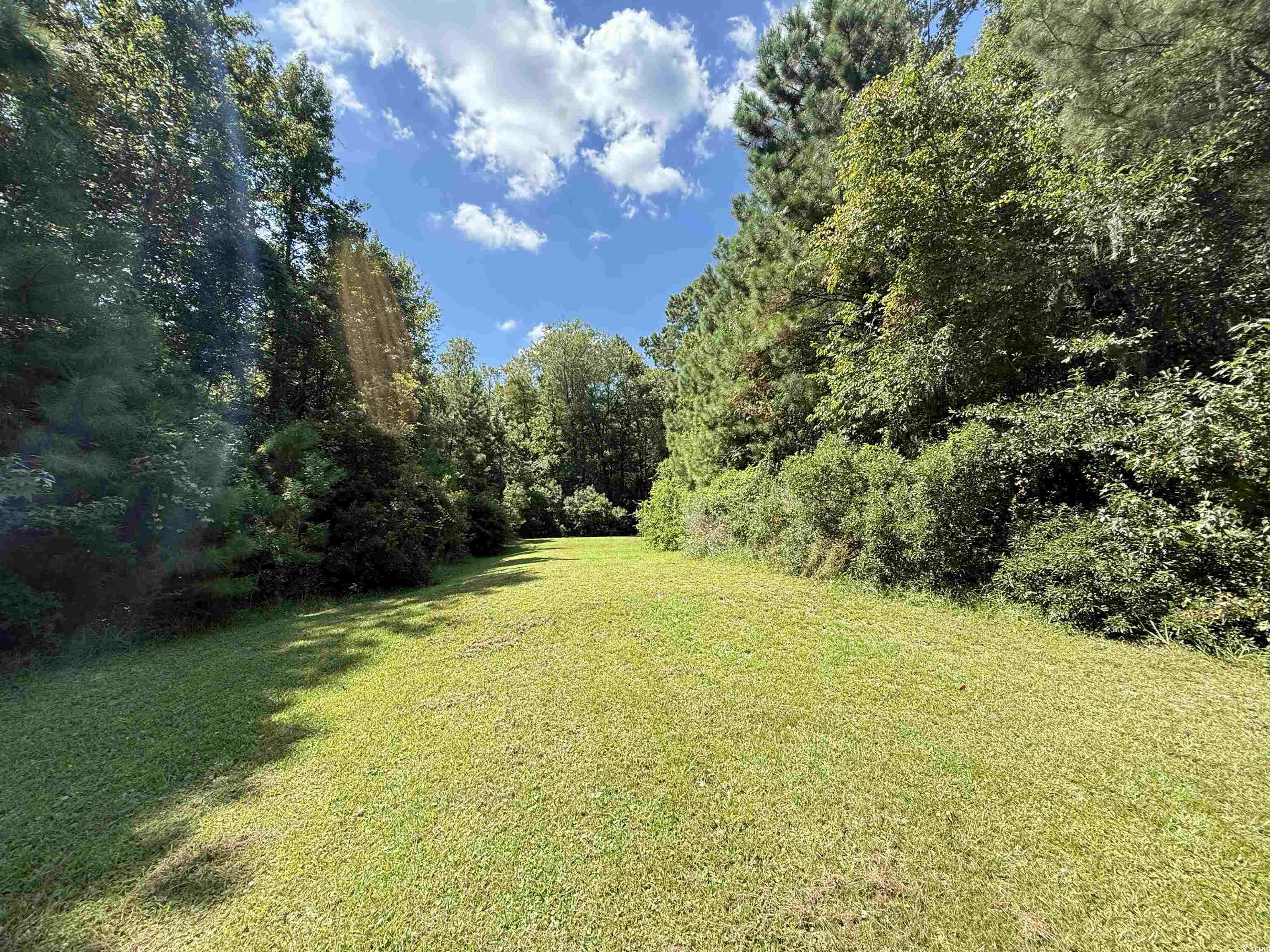 175 Commanders Island Rd. Georgetown, SC 29440