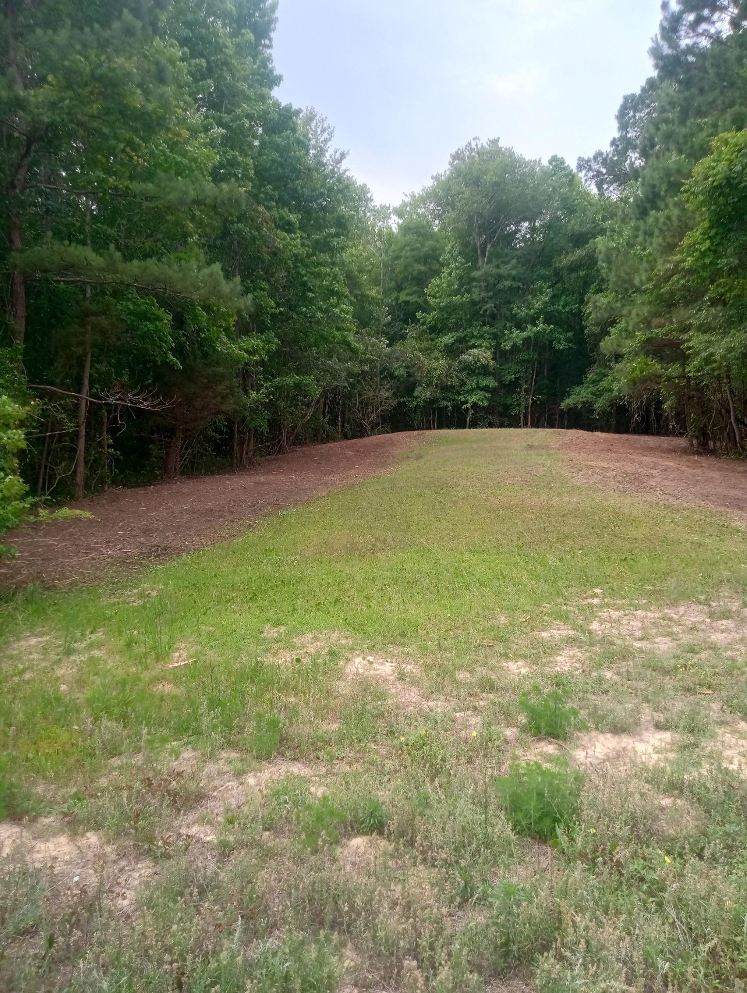 175 Commanders Island Rd. Georgetown, SC 29440