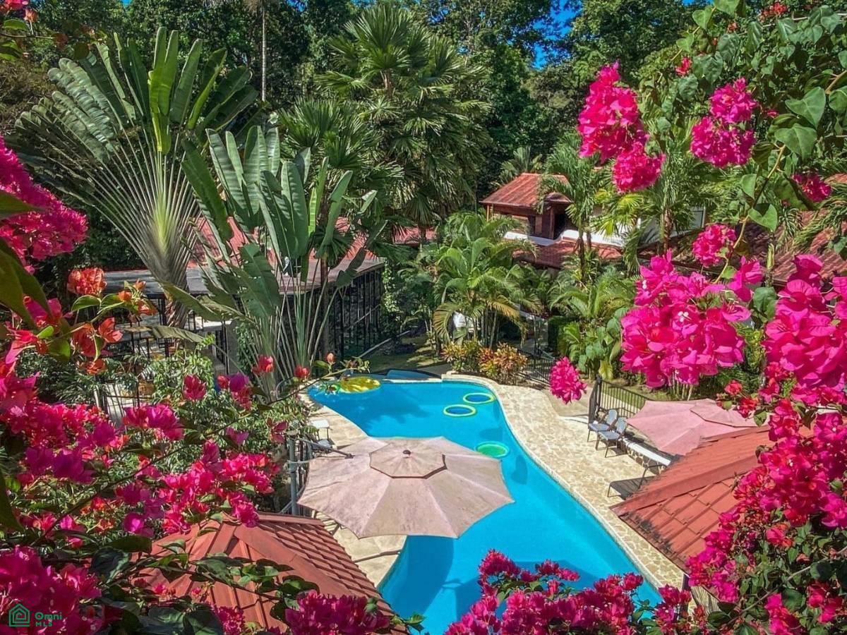 12 bed Commercial For Sale in Osa, Puntarenas - 1