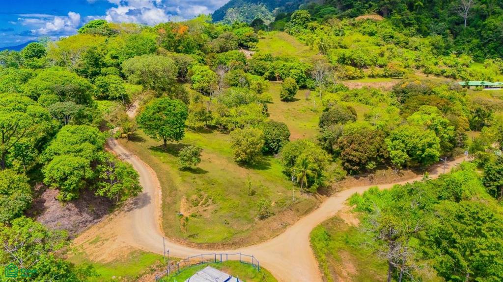 0 bed Land For Sale in Osa, Puntarenas - 1
