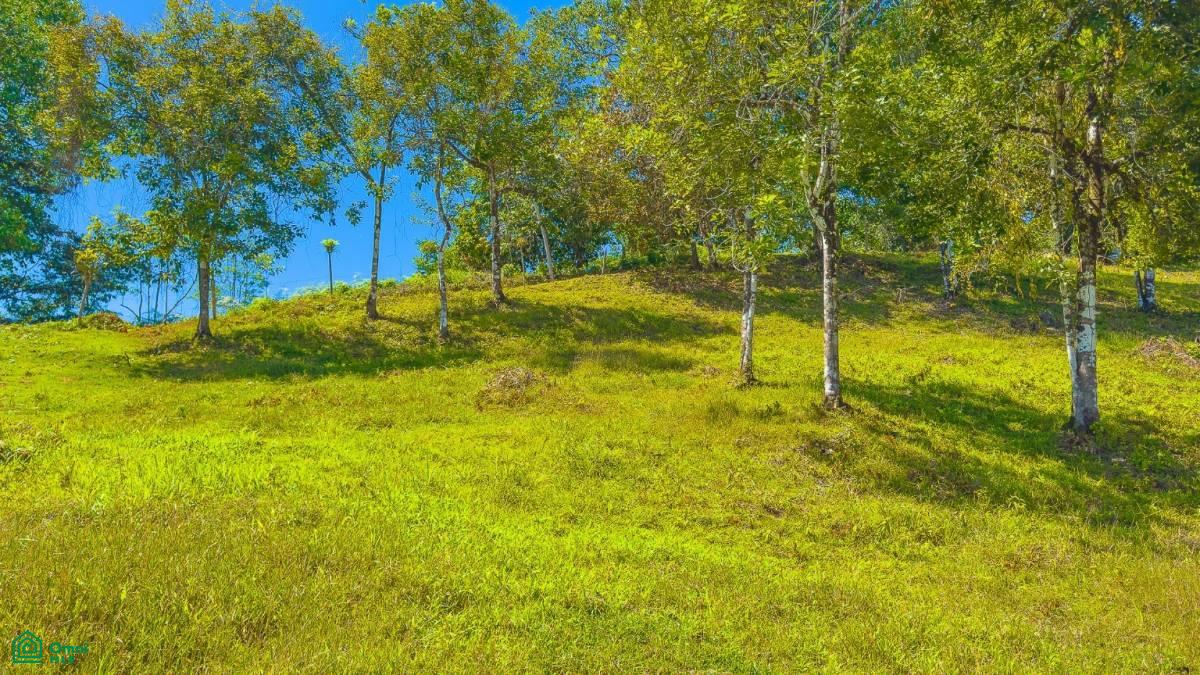 0 bed Land For Sale in , Puntarenas - 1