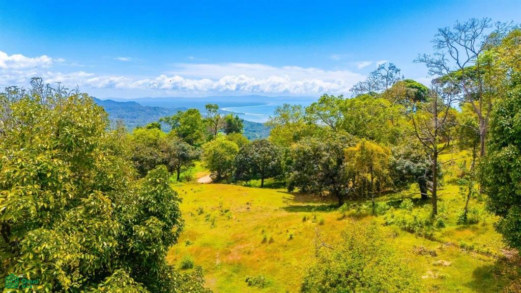 0 bed Land For Sale in Osa, Puntarenas - 1