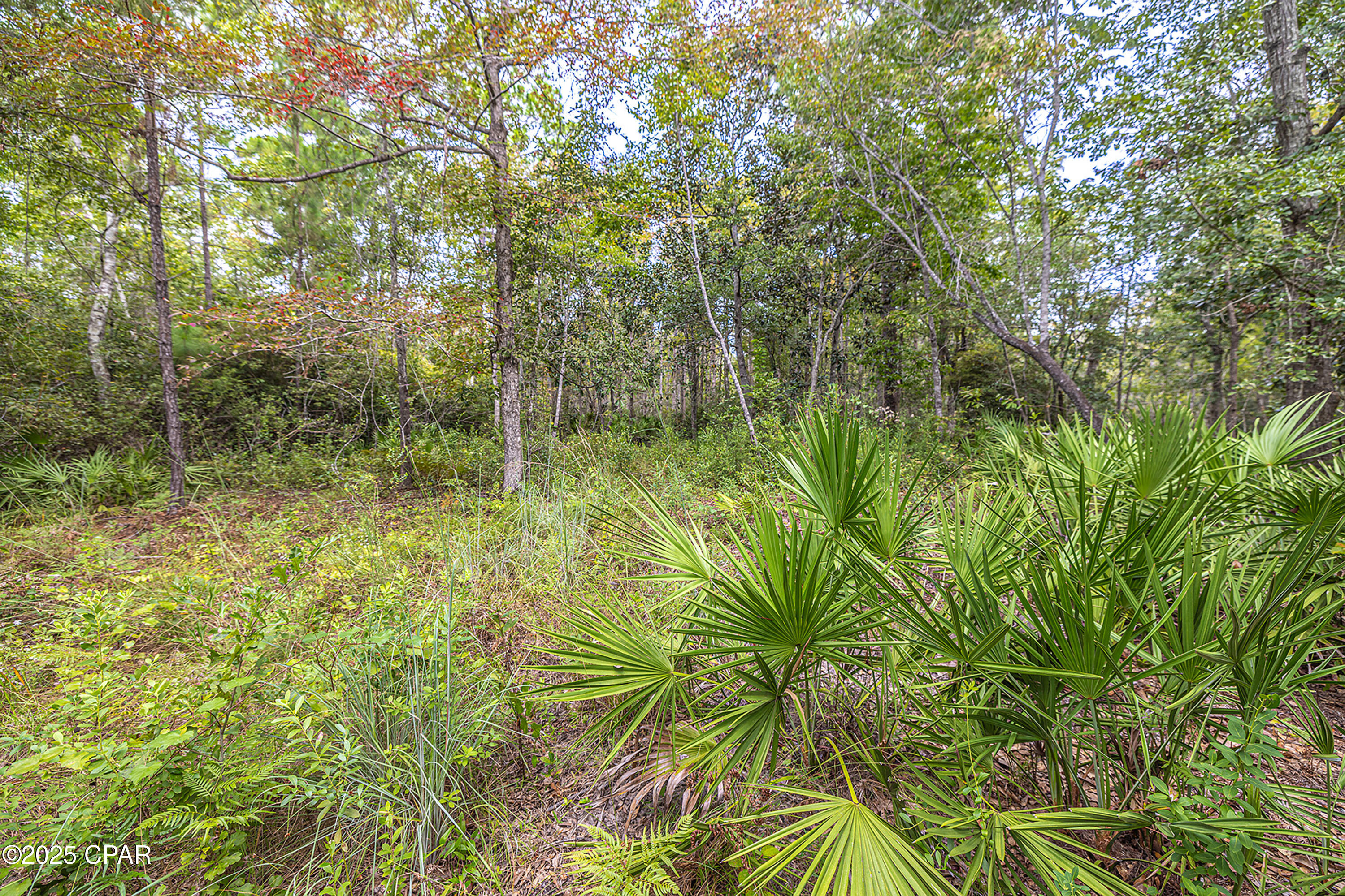 4th image of Lot 77 Harbour Trace, Freeport, FL 32439 | MLS# 778626