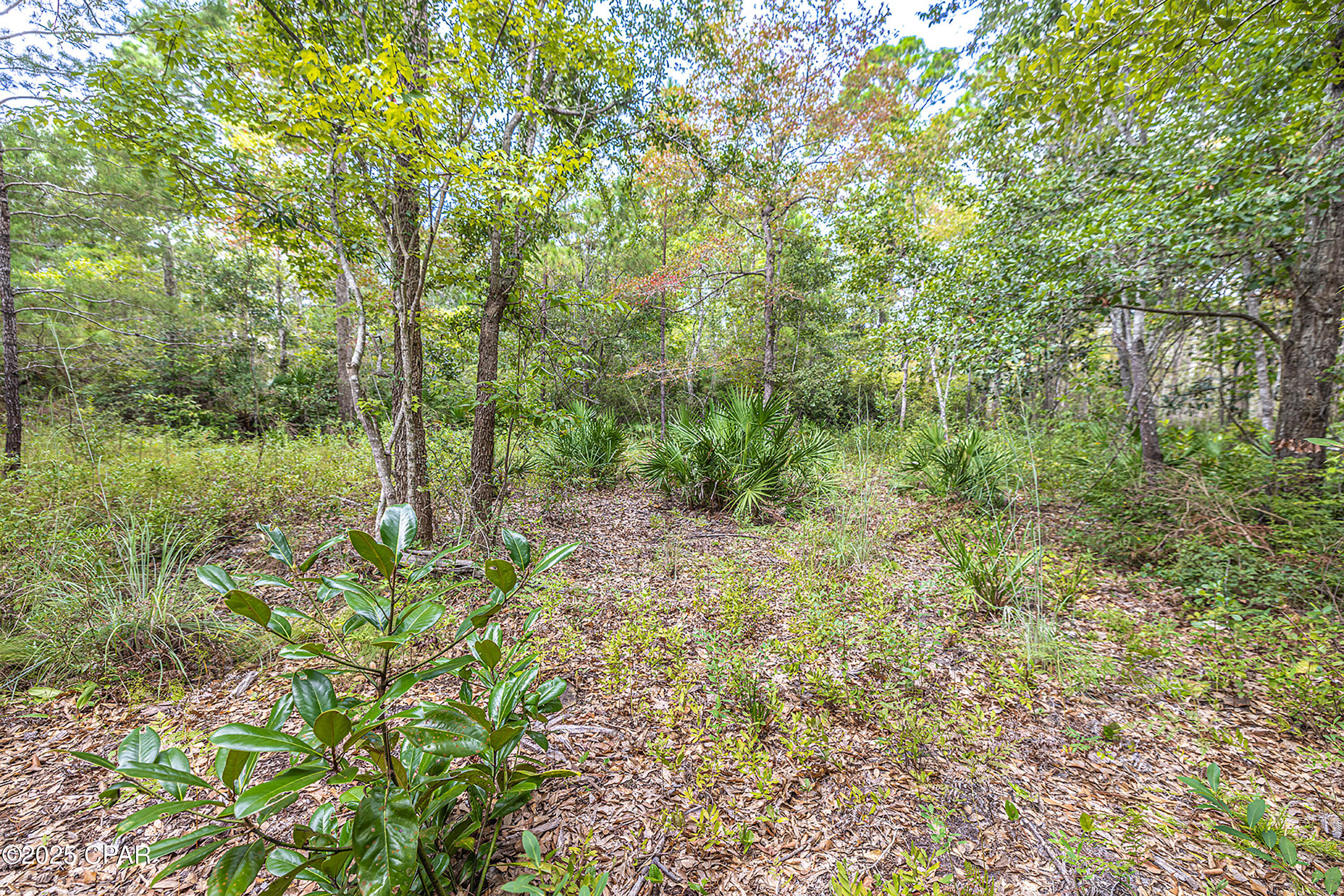 5th image of Lot 77 Harbour Trace, Freeport, FL 32439 | MLS# 778626