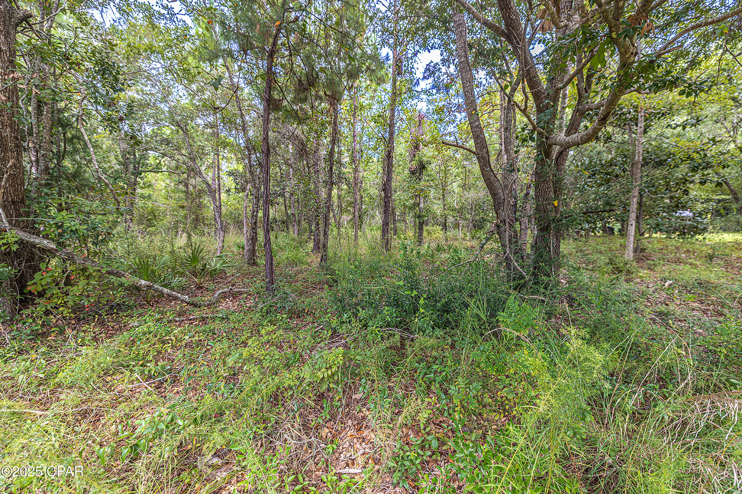 2nd image of Lot 76 Harbour Trace, Freeport, FL 32439 | MLS# 778634