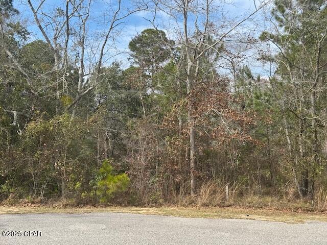 Homes for sale in Freeport, FL | Lot 76 Harbour Trace, Freeport, FL 32439 | MLS# 778634