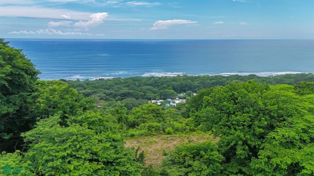0 bed Land For Sale in Puntarenas, Puntarenas - 1