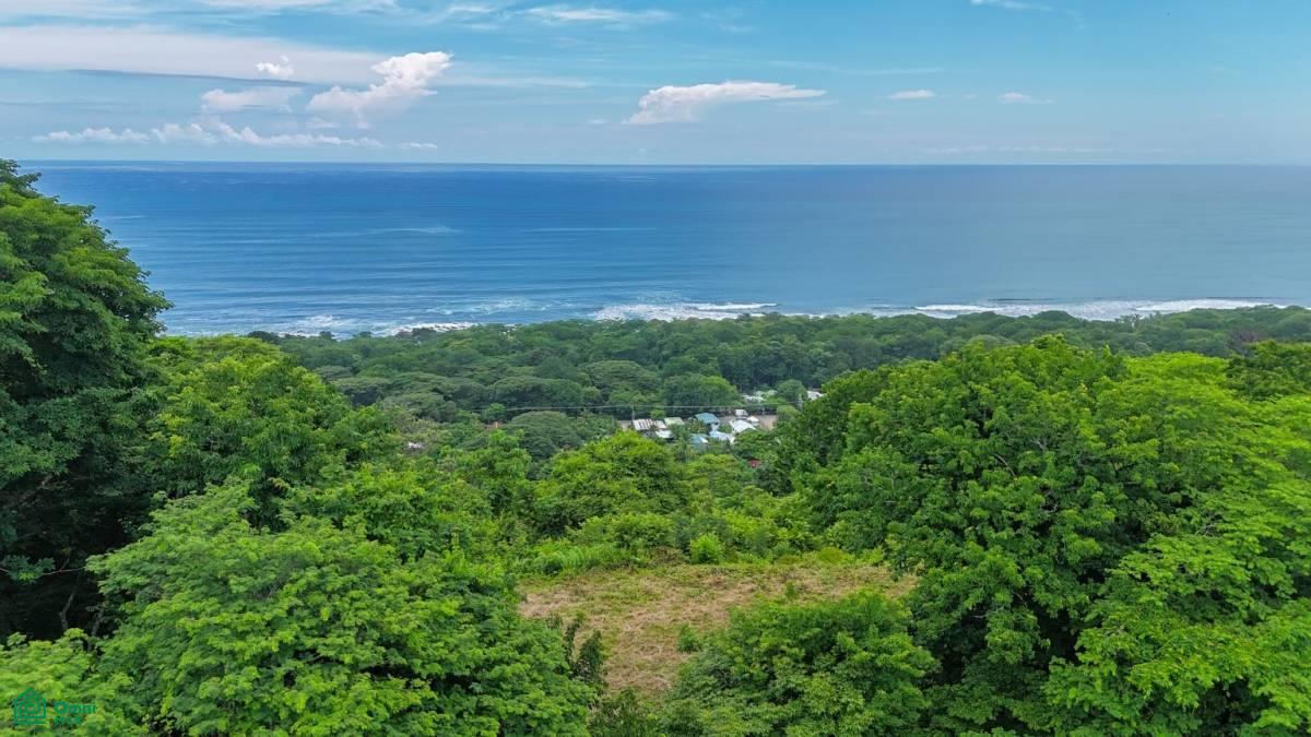 0 bed Land For Sale in Puntarenas, Puntarenas - 1